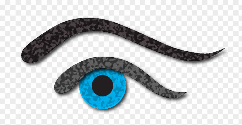 Right Eye Eyebrow Color Iris Blue PNG