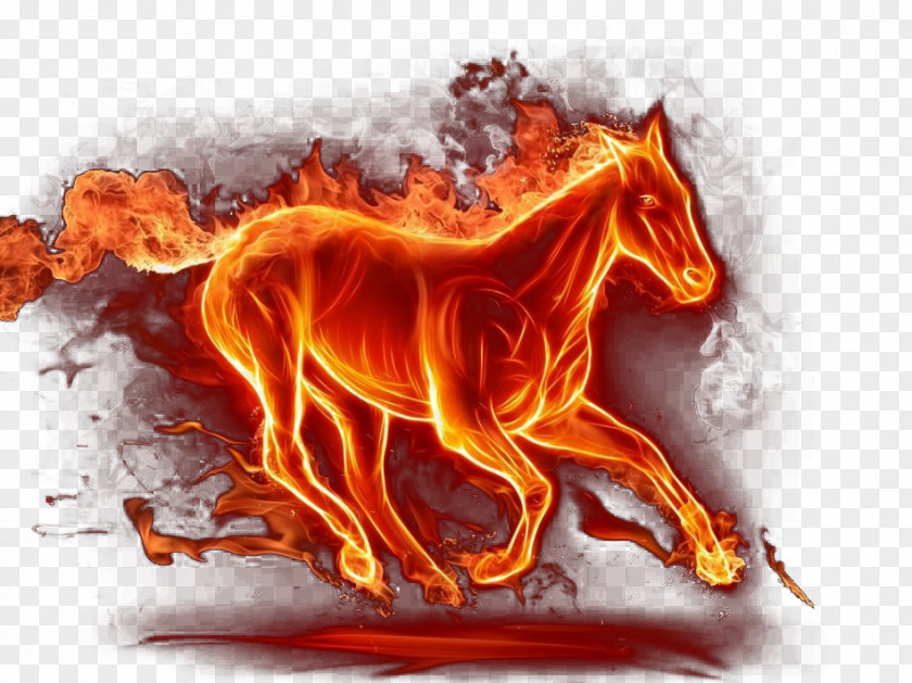 Running Horse Kindle Fire HD High-definition Television 4K Resolution Wallpaper PNG