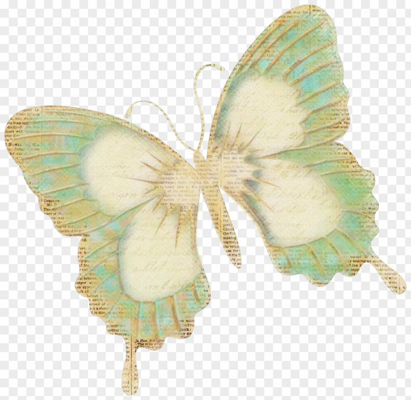 Shabby Butterfly Paper Insect Het Chocolat Moment PNG