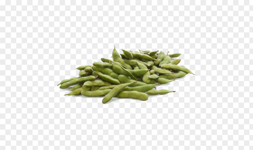 Soybean Free Buckle Material Edamame Green Bean PNG