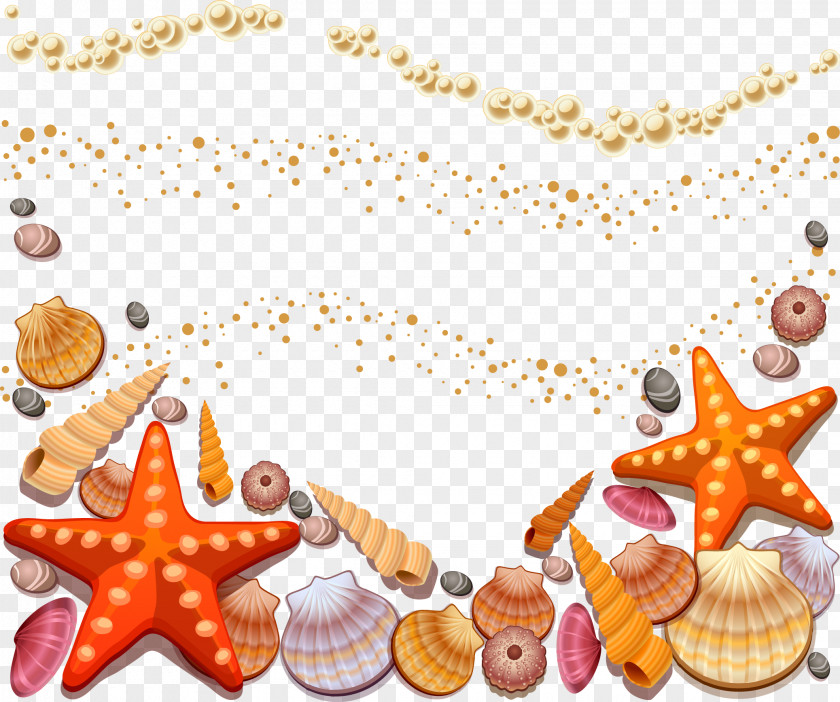 Vector Beach Seashell Conch Clip Art PNG