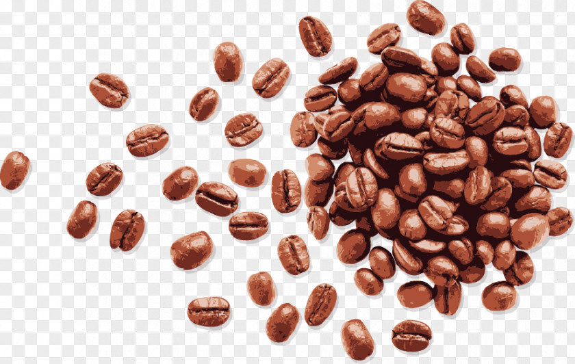 Vector Hand-painted Coffee Beans Bean Espresso PNG
