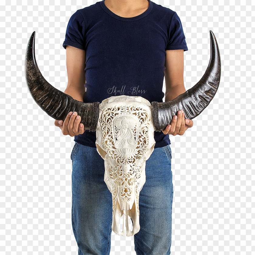 Buffalo Skull Art Cattle Culture Flower PNG