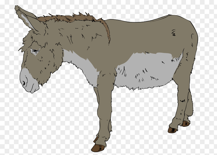 Donkey Clip Art PNG