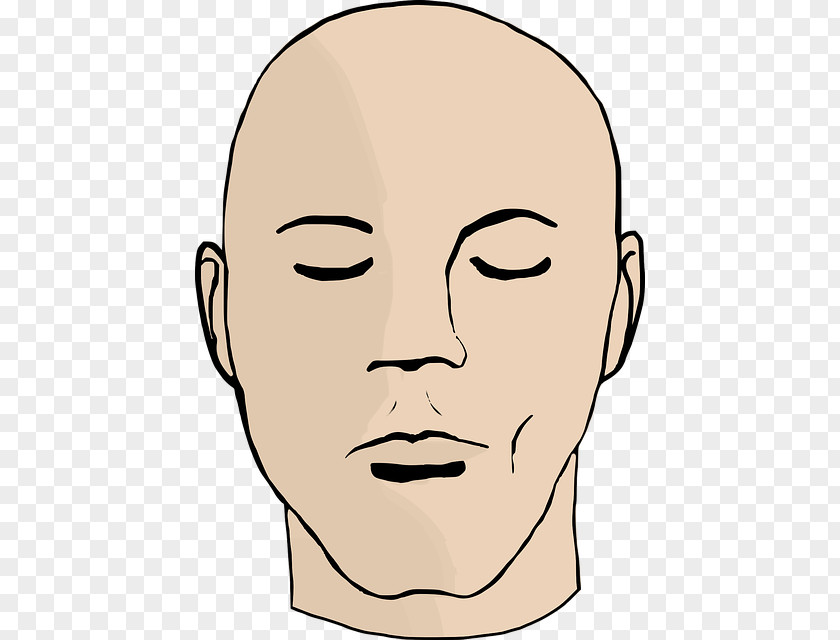 Face Facial Hair Forehead Clip Art PNG
