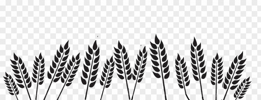 Field Black And White Wheat Organization PNG