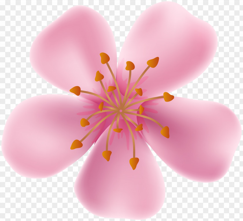 Flowers Blooming In Spring Art Drawing Clip PNG