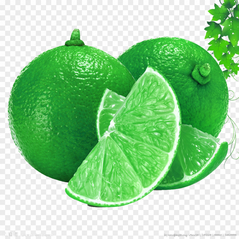 Green Fresh Grapefruit Decorative Patterns Juice Thai Cuisine Lemon Seed Lime PNG