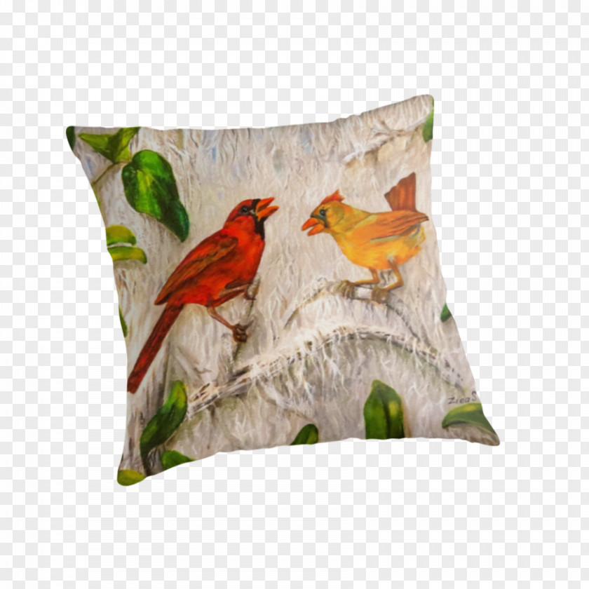 Pillow Throw Pillows Cushion Macaw Beak PNG