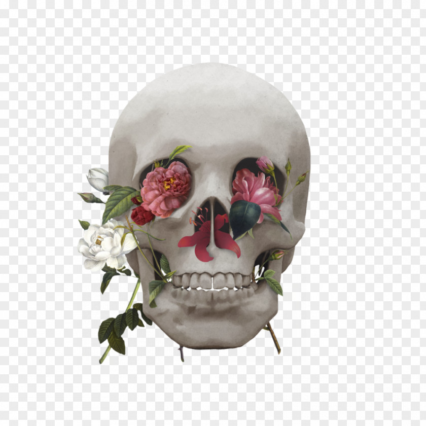 Skull Painting PNG