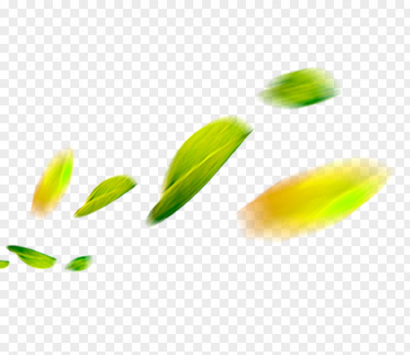 Blur Leaves Petal Download PNG
