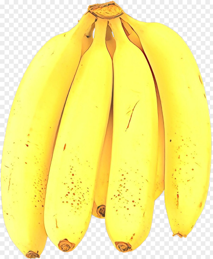 Saba Banana Baby Food Fruit PNG