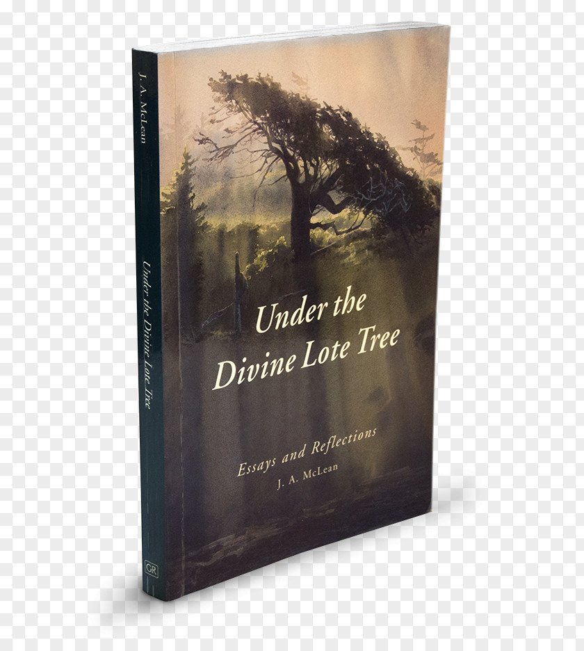 Under The Divine Lote Tree Little Things: Why You Really Should Sweat Small Stuff Book .com PNG