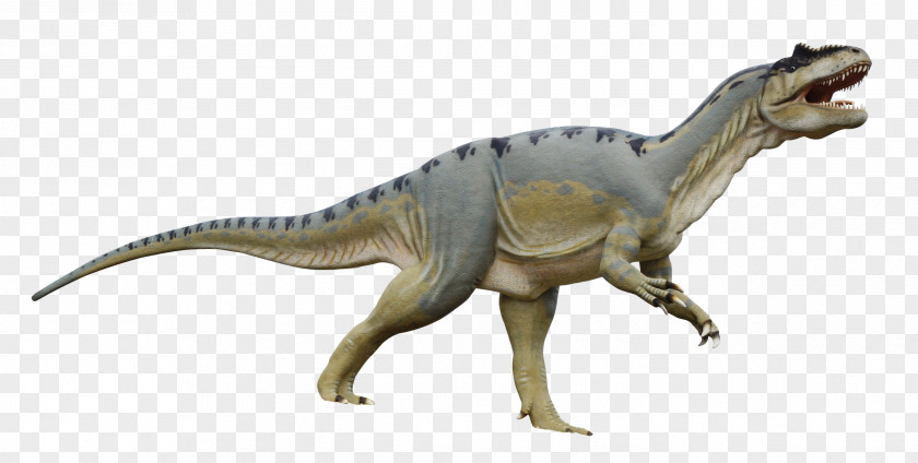 Dinosaur Tyrannosaurus Triceratops Cryolophosaurus PNG