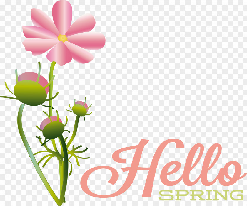 Floral Design PNG