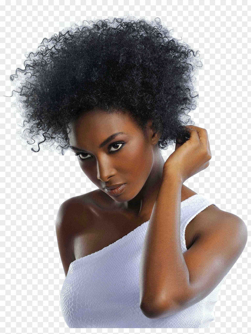 Hair Hairstyle Afro-textured Hairdresser African-American PNG