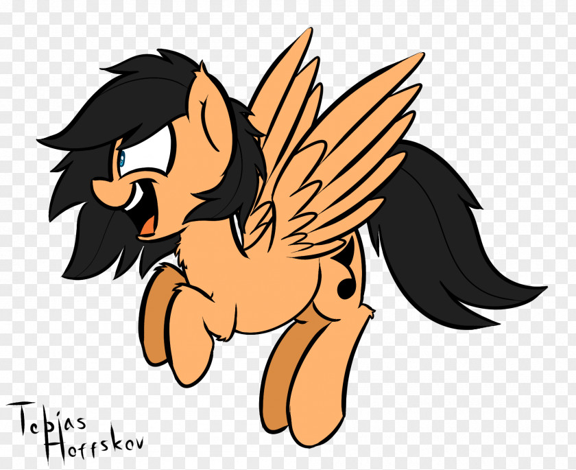 Horse Cat Equestria Unicorn Dog PNG