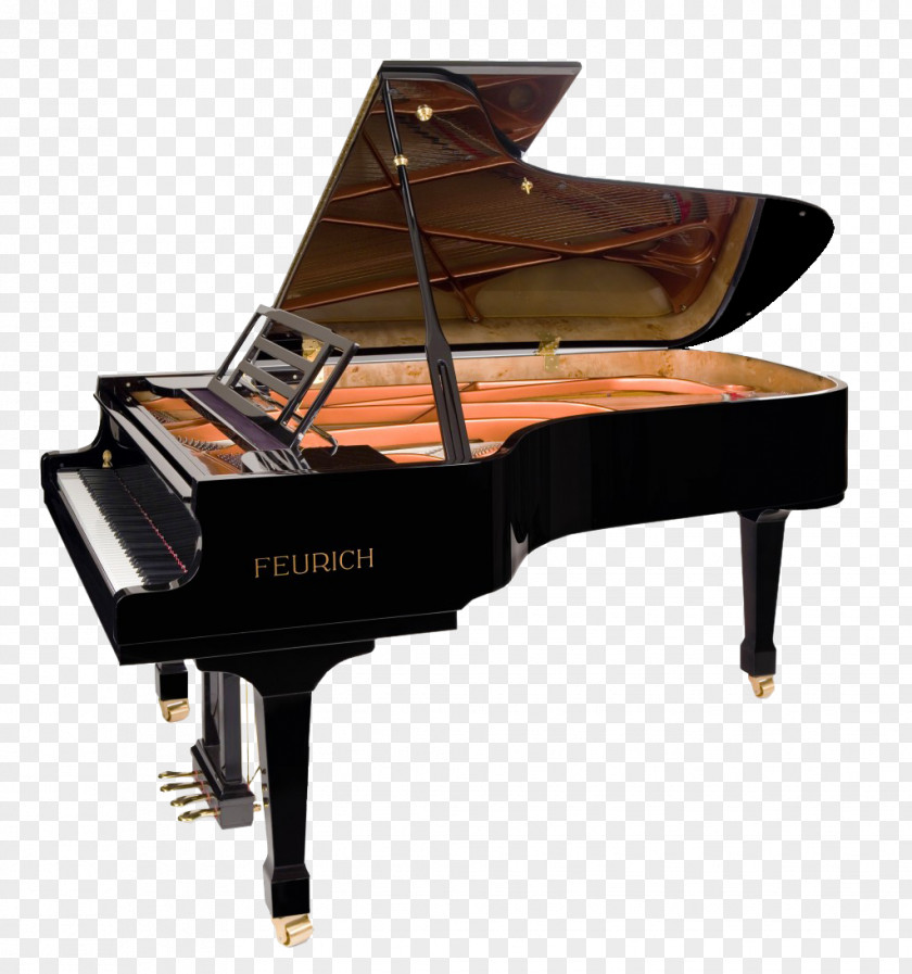 Piano Image Hailun Grand Feurich Upright PNG