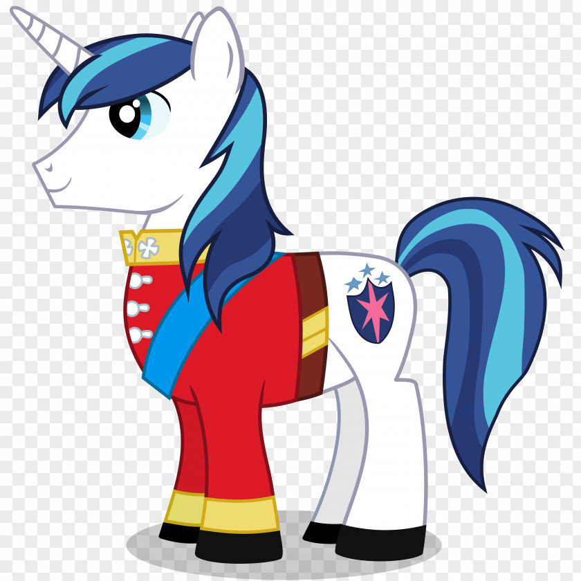 Shining Vector Princess Cadance Armor Twilight Sparkle Pony A Canterlot Wedding PNG