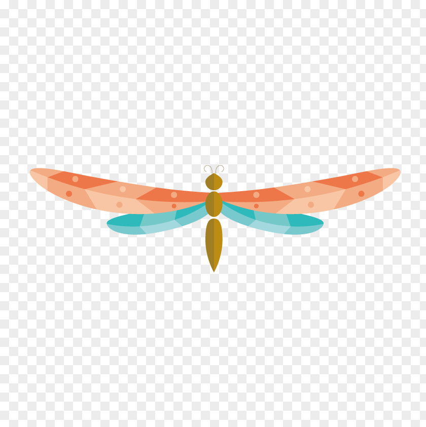 Vector Colored Dragonfly Euclidean Download PNG