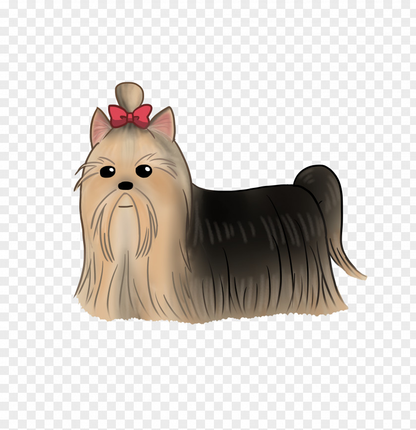 Yorkshire Terrier Cairn Australian Silky Companion Dog Breed PNG