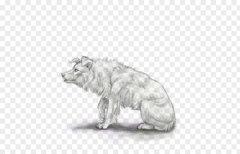 Australian Shepherd Border Collie Sketch Line Art Louisiana Catahoula Leopard Dog Sheltie PNG