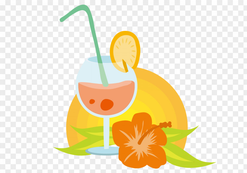 Beach Beverage Material Cocktail Garnish Orange Drink Clip Art PNG