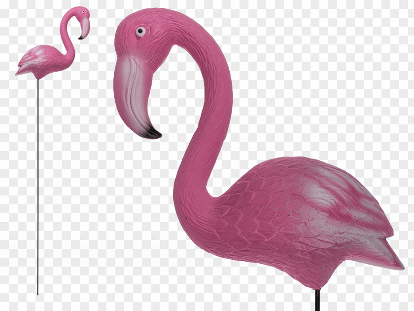 Beak Pink M PNG