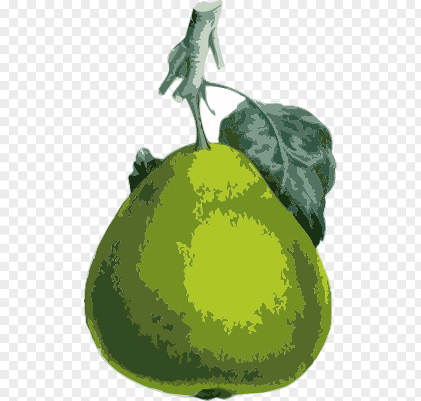 Melon Clip Art PNG