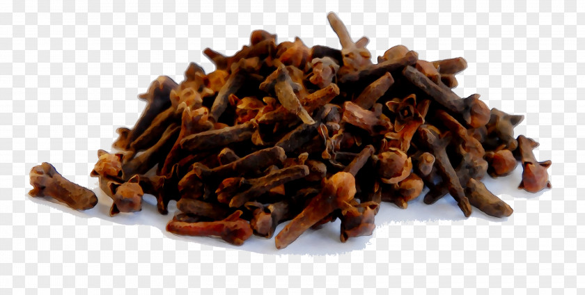 Syzygium Aromaticum Human Tooth Oil Of Clove Medicine PNG