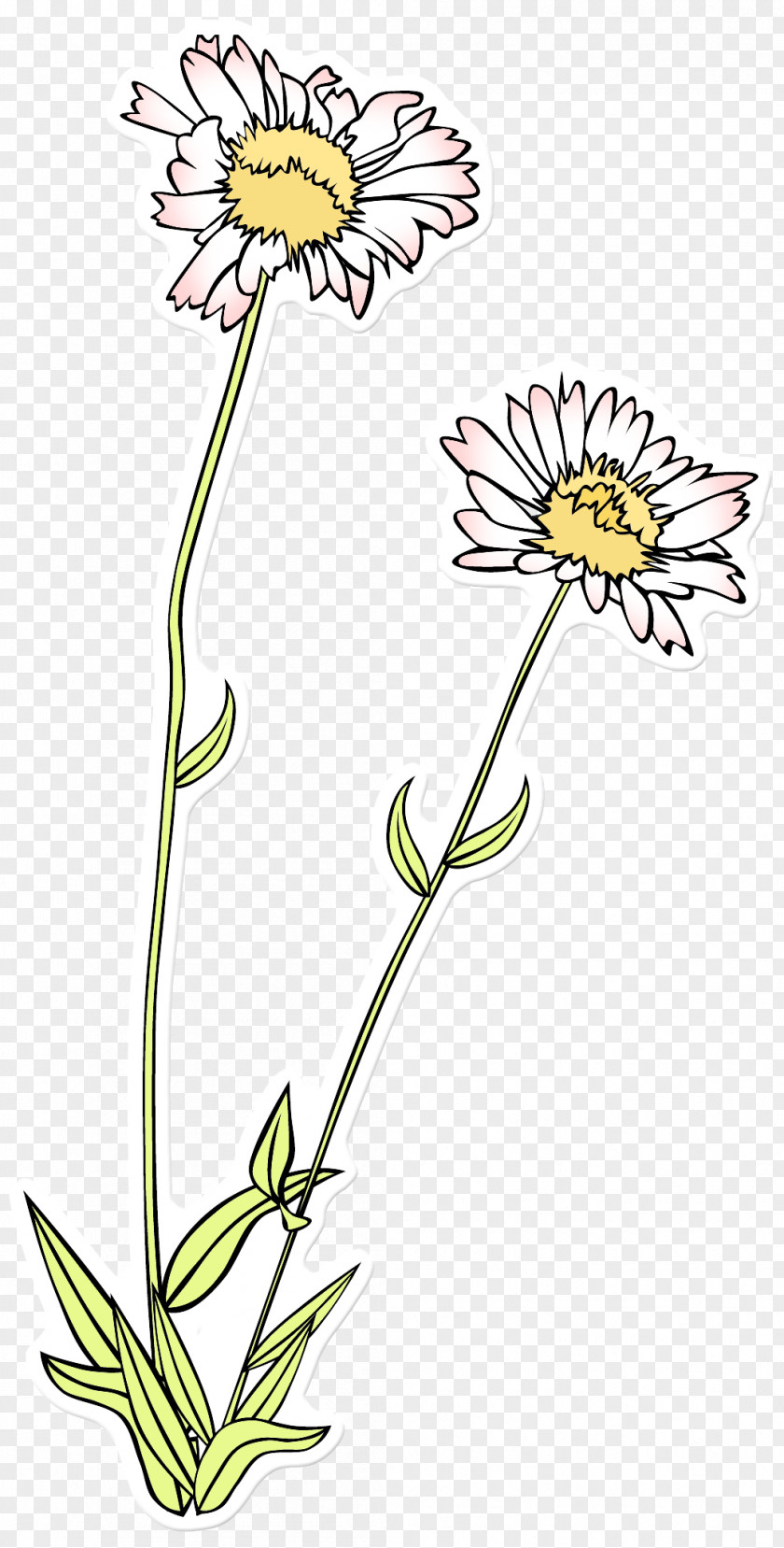Flower Clip Art Sketch Drawing Image PNG