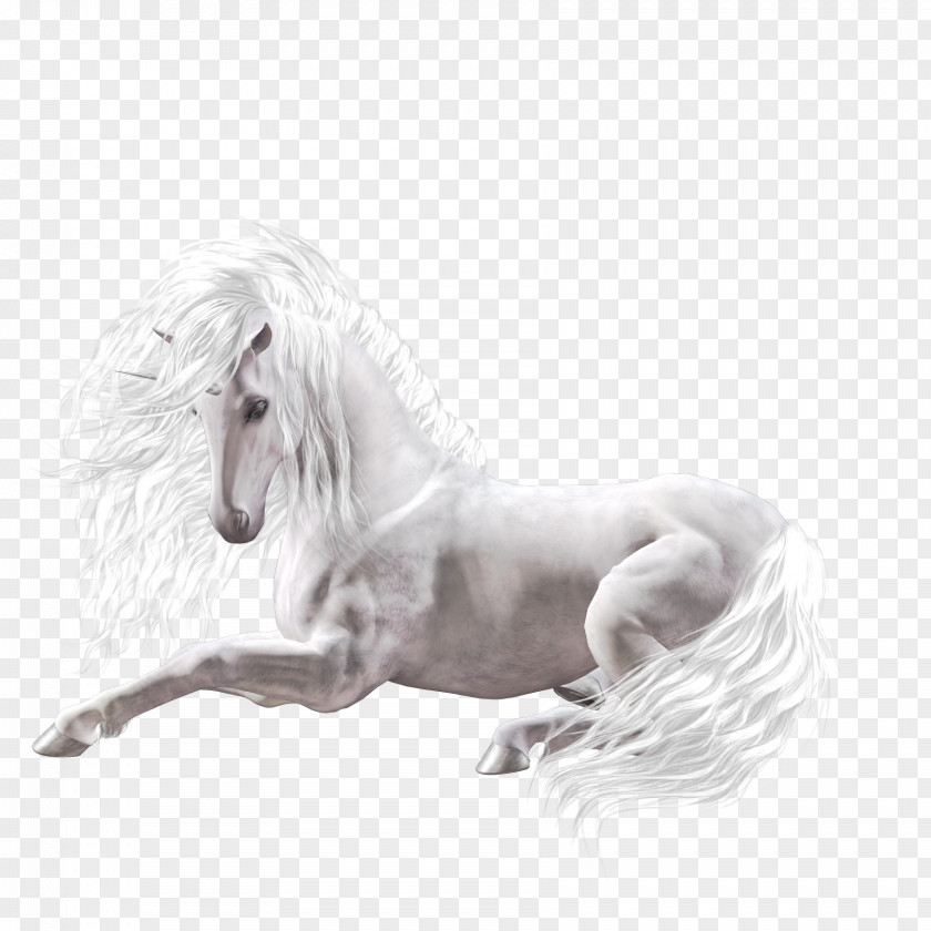 Horse Unicorn Sticker Zaginiony Rozkaz PNG