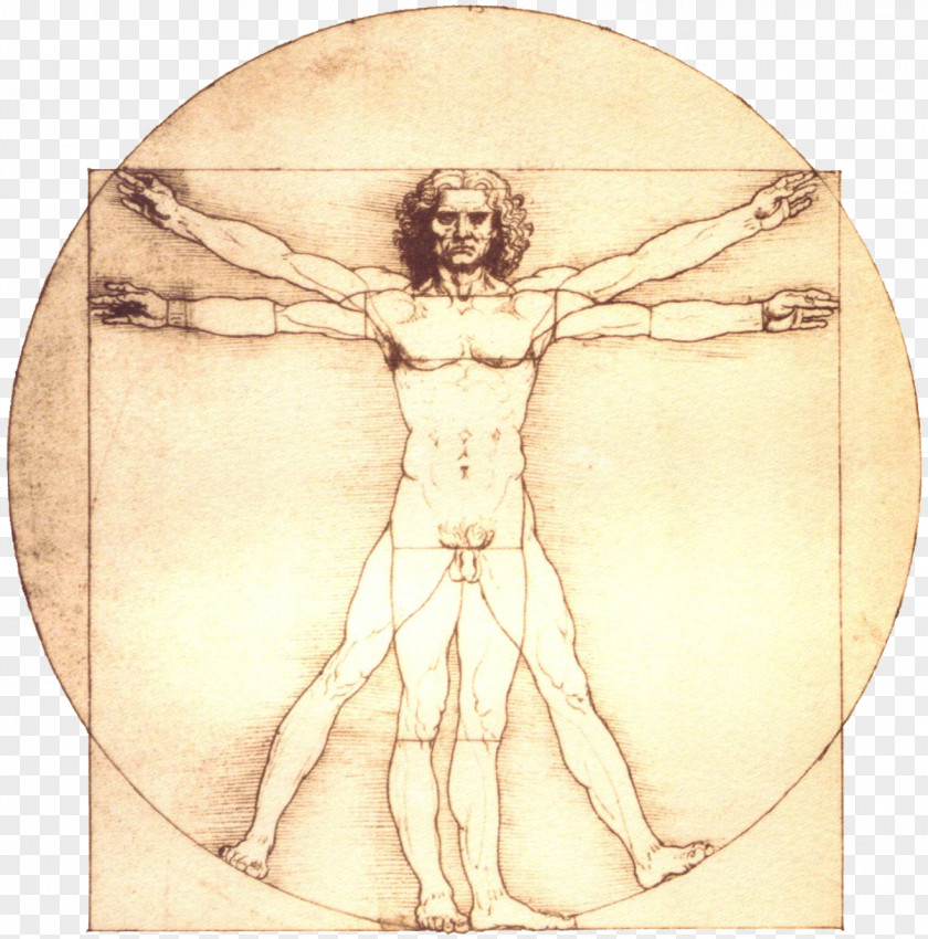 Painting Vitruvian Man Renaissance Portrait Of A In Red Chalk Drawing PNG