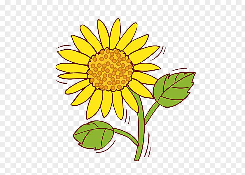 Sunflower Common Clip Art PNG