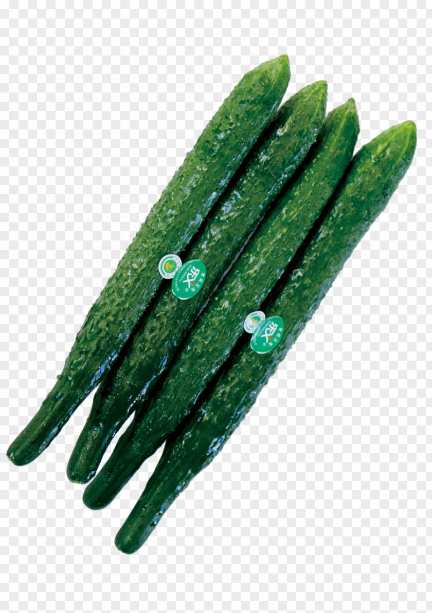 A Cucumber Vegetables Leaf Vegetable Fruit Tomato PNG