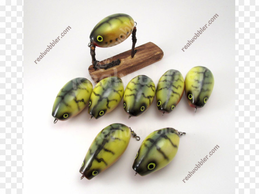 Beetle Fishing Bait Insect PNG
