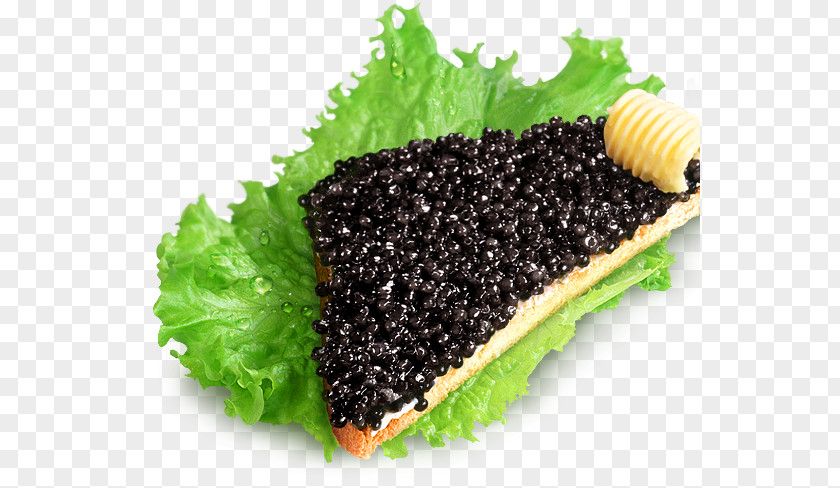 Black Caviar Beluga Butterbrot Pancake Starry Sturgeon PNG