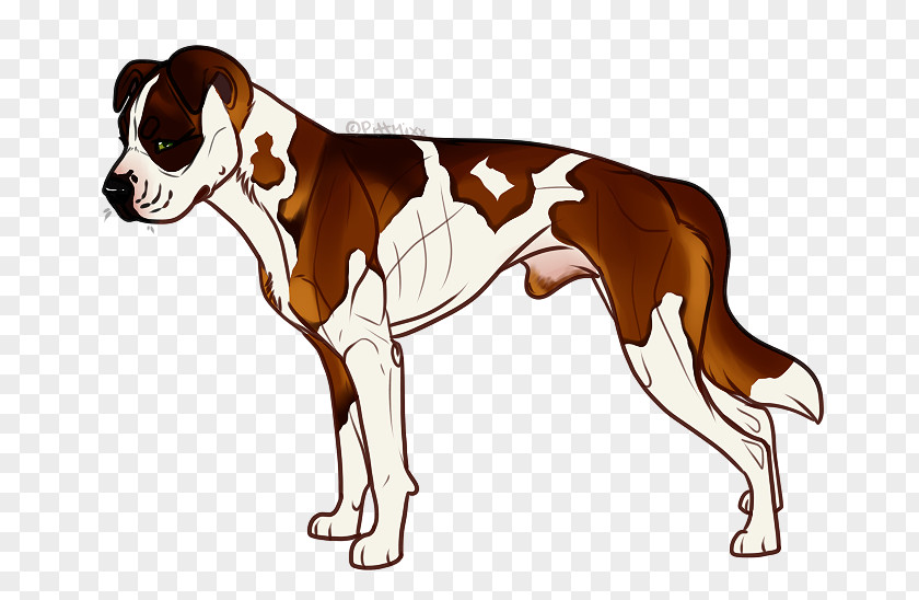 Border Collie Rottweiler Mix Dog Breed Boxer Snout Crossbreed Clip Art PNG
