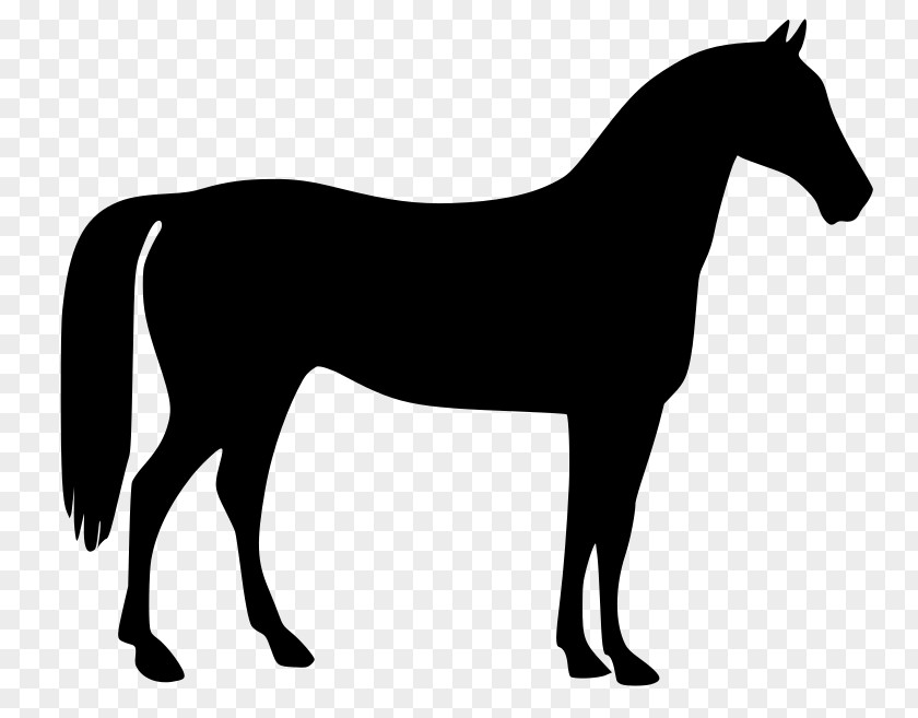 Pony Vector Mustang Stallion Clip Art PNG