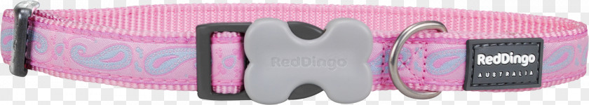Red Collar Dog Clothing Accessories Brand PNG