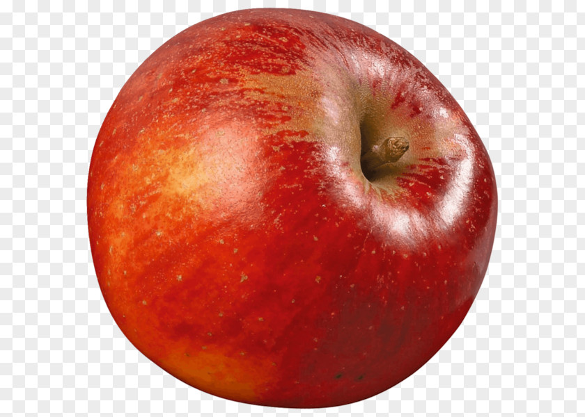 Apple McIntosh Red Elstar Apples Belle De Boskoop PNG