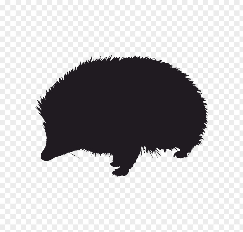 Hedgehog Silhouette Drawing Image Vector Graphics PNG