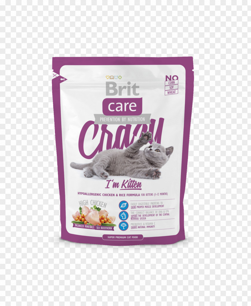 Kitten Cat Food Pet Dog PNG