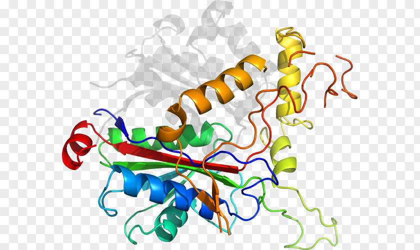 Line Point Graphic Design Recombinant DNA Clip Art PNG