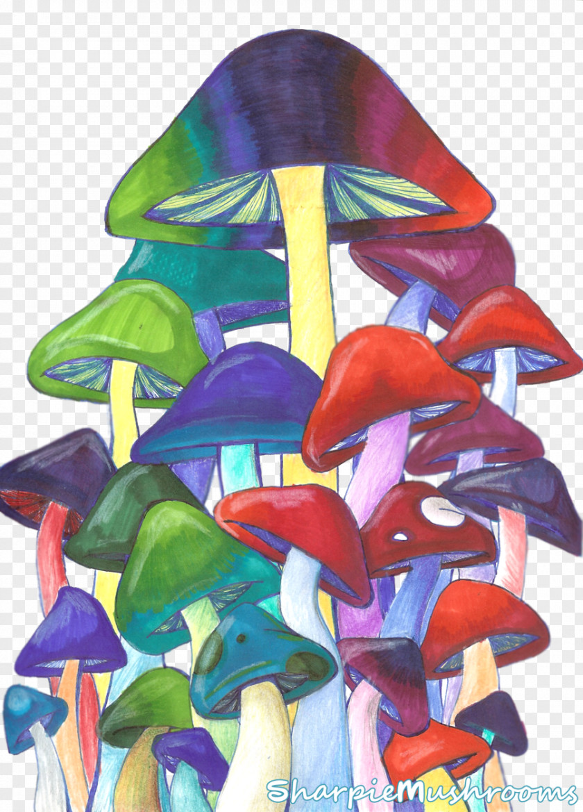 Mushroom Edible Psilocybin Magic Mushrooms Drawing PNG