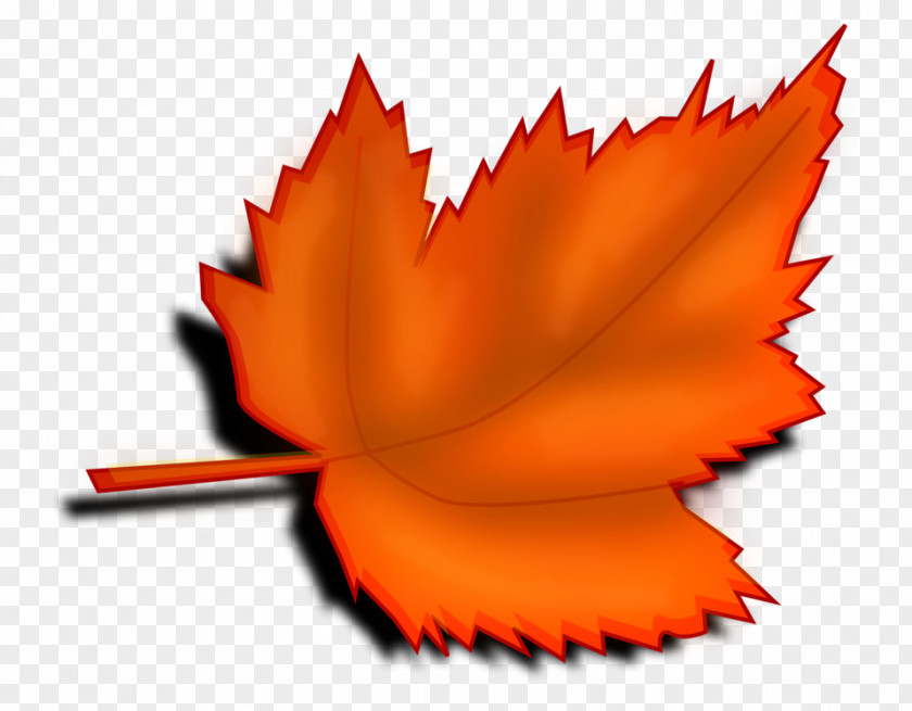 Orange Leaves Cliparts Autumn Leaf Color Clip Art PNG