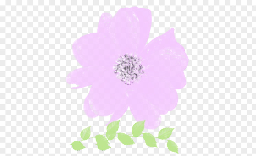 Pink Petal Violet Flower Plant PNG