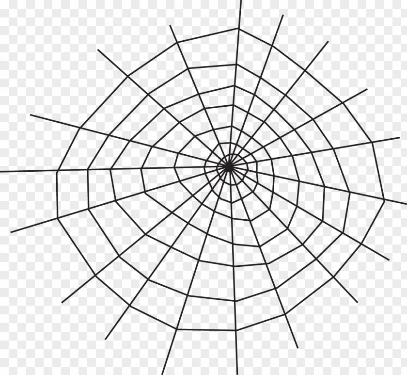 Spider Web Cartesian Coordinate System Polar Graph Of A Function Paper Chart PNG