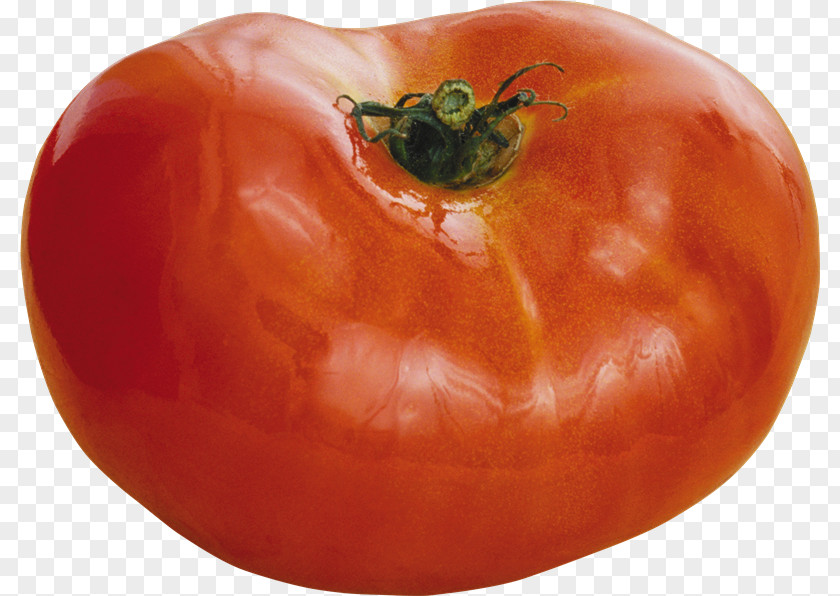Tomato Plum Piquillo Pepper Bush Food PNG