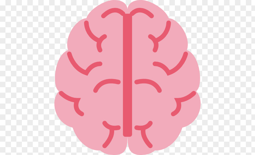 Brain Human Research Neuroscience University Of Calgary PNG